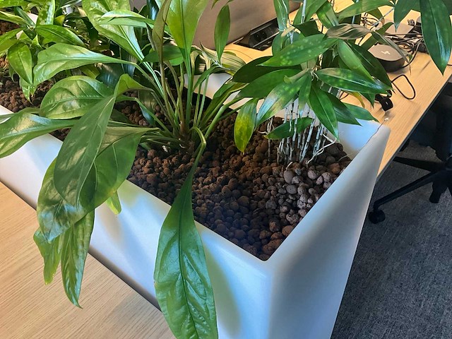 Pedrali kado2 design plantenbak (2x) - afbeelding 3 van  6