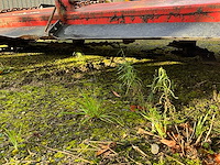 Peecon weidebloter - afbeelding 3 van  13