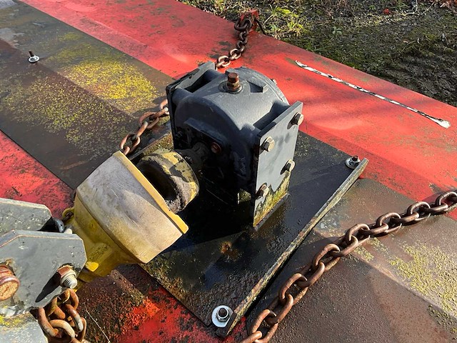 Peecon weidebloter - afbeelding 5 van  13