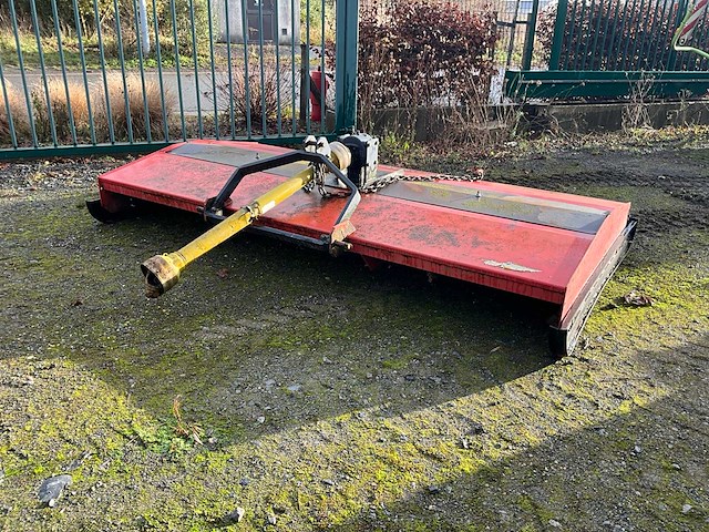 Peecon weidebloter - afbeelding 1 van  13