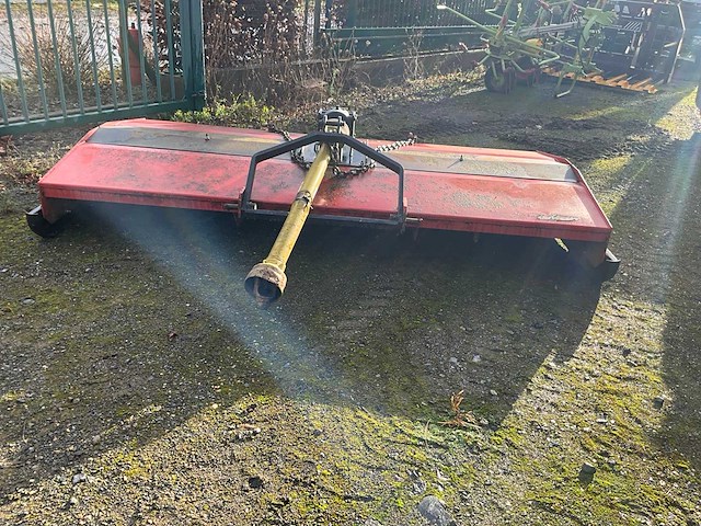 Peecon weidebloter - afbeelding 6 van  13