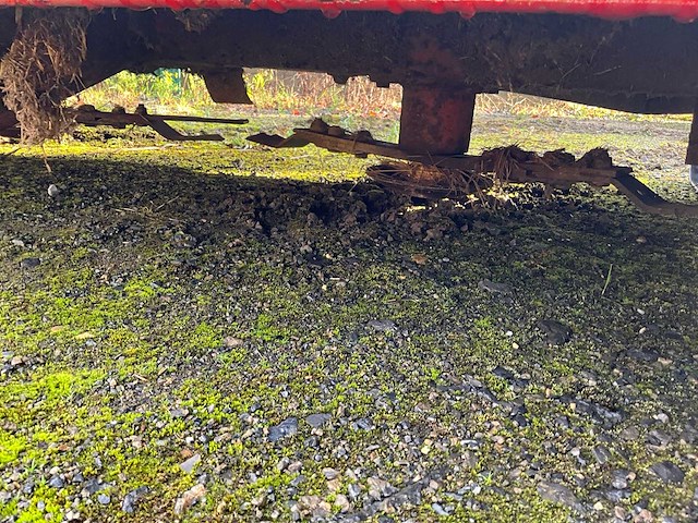 Peecon weidebloter - afbeelding 10 van  13