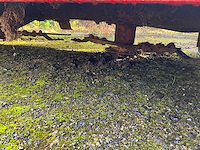 Peecon weidebloter - afbeelding 10 van  13