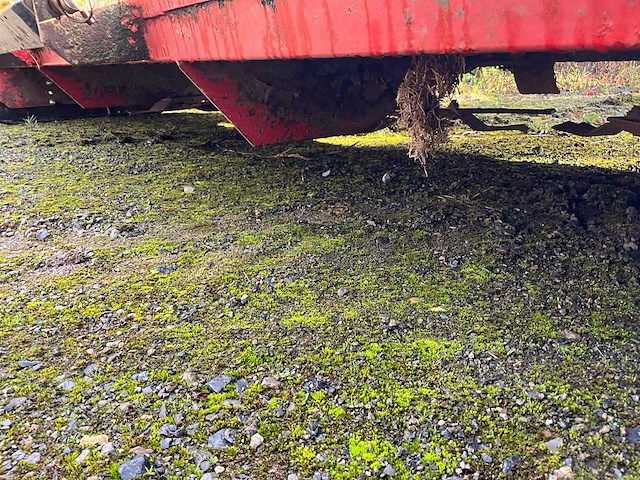 Peecon weidebloter - afbeelding 11 van  13