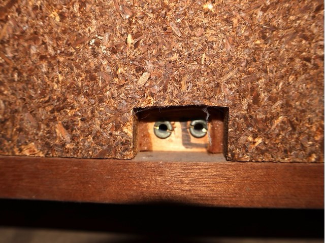 Peerless speaker (x2) - afbeelding 4 van  4