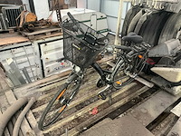 Pegasus damesfiets - afbeelding 1 van  4