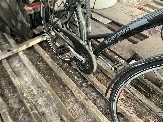 Pegasus damesfiets - afbeelding 4 van  4