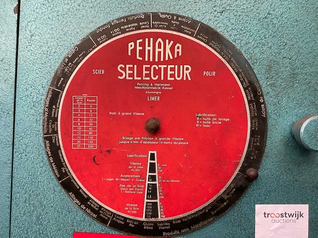 Pehaka selecteur lintzaagmachine - afbeelding 10 van  12