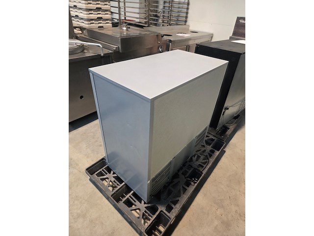 Pelican - afbeelding 3 van  6