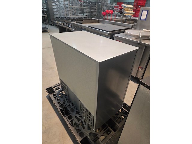 Pelican - afbeelding 4 van  6