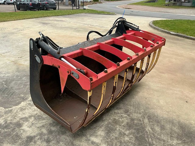 Pelikaanbak - afbeelding 3 van  6