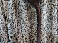 Pelsen mantel mooie staat! - afbeelding 3 van  5