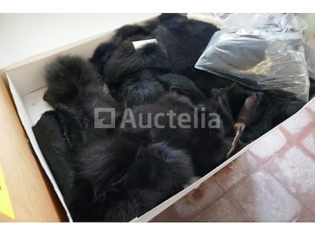 Pelsen - afbeelding 3 van  6