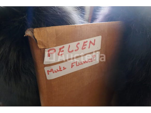 Pelsen - afbeelding 4 van  6