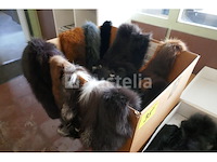 Pelsen - afbeelding 5 van  6