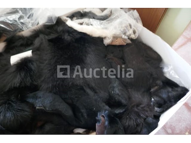 Pelsen - afbeelding 6 van  6