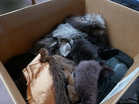 Pelsen - afbeelding 3 van  3
