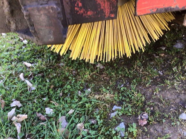 Penseel - afbeelding 6 van  7