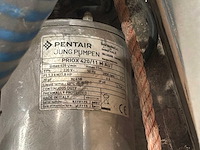 Pentair prioriteit 420/11m aut dompelpomp rvs - afbeelding 2 van  3
