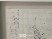 Pepto bismo - afbeelding 6 van  7