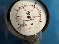 Persluchtvat lories - afbeelding 7 van  8
