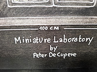 Peter de cupere - afbeelding 6 van  9