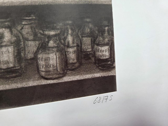 Peter de cupere - afbeelding 9 van  9