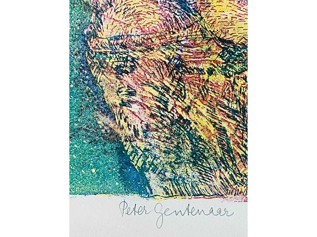 Peter gentenaar - kleurenzeefdruk - vanaf 5 euro - afbeelding 12 van  12
