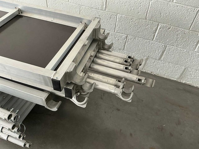 Petry gevelsteiger - afbeelding 5 van  9