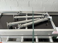 Petry gevelsteiger - afbeelding 8 van  9