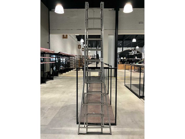 Petry ladder - afbeelding 2 van  4