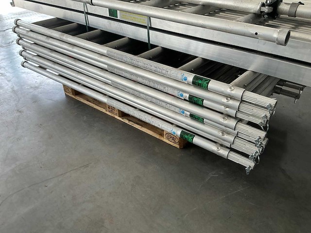 Petry rolsteiger - afbeelding 6 van  10