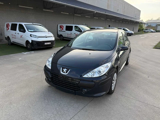Peugeot - 2005 - 307 - - personenauto - afbeelding 17 van  19