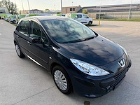 Peugeot - 2005 - 307 - personenauto - afbeelding 17 van  19