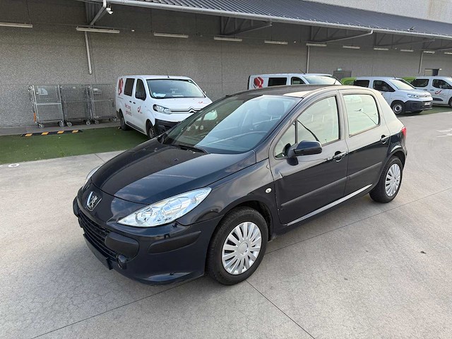 Peugeot - 2005 - 307 - personenauto - afbeelding 12 van  19