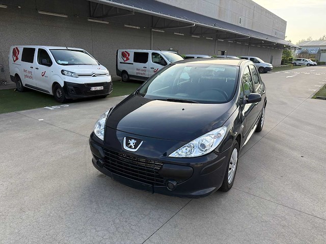Peugeot - 2005 - 307 - personenauto - afbeelding 15 van  19