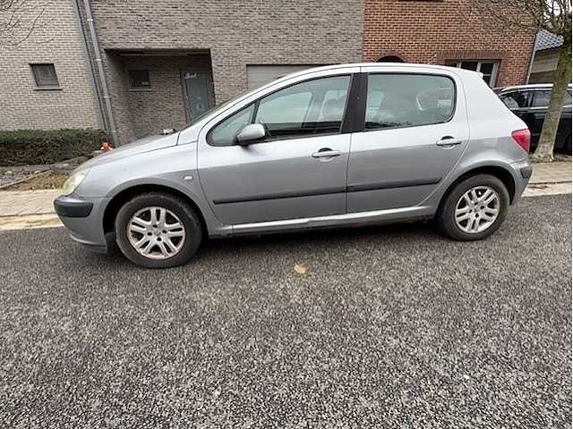 Peugeot - 307 - 1.6-16v gentry - car - 2002 - afbeelding 1 van  14