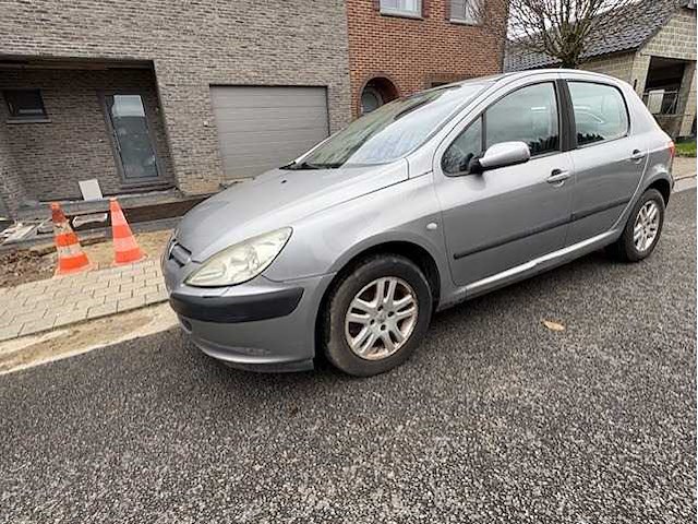 Peugeot - 307 - 1.6-16v gentry - car - 2002 - afbeelding 11 van  14