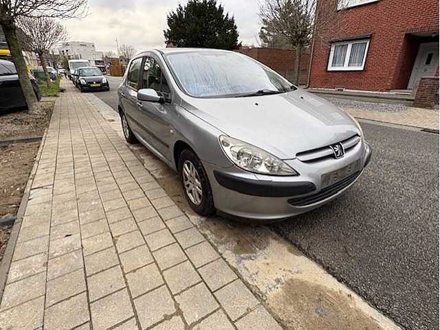Peugeot - 307 - 1.6-16v gentry - car - 2002 - afbeelding 13 van  14