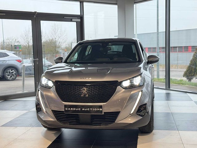 Peugeot 2008 1.2 s&s 100 actieve zaken - afbeelding 2 van  51