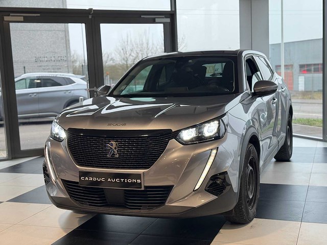 Peugeot 2008 1.2 s&s 100 actieve zaken - afbeelding 3 van  51