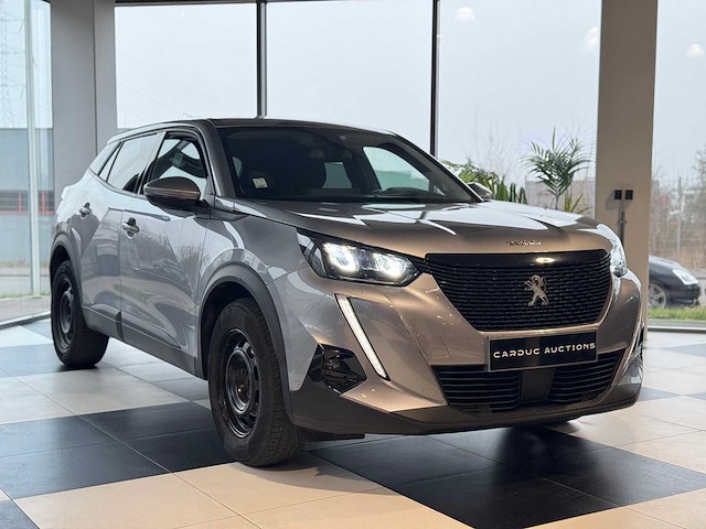 Peugeot 2008 1.2 s&s 100 actieve zaken - afbeelding 33 van  51