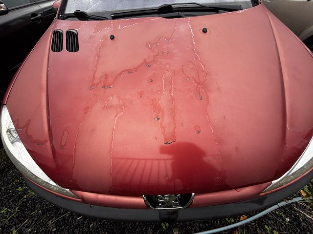 Peugeot 206, 2004 - afbeelding 20 van  30