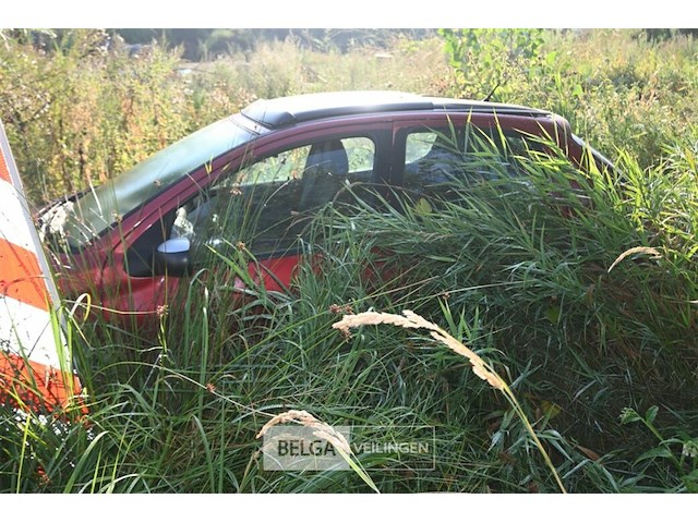Peugeot 206, enkel voor vergunninghouders en erkende centra voor verschrotting - afbeelding 2 van  3