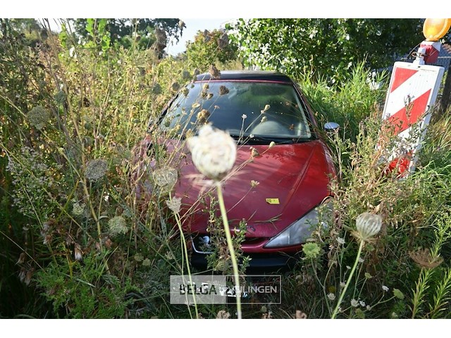 Peugeot 206, enkel voor vergunninghouders en erkende centra voor verschrotting - afbeelding 3 van  3