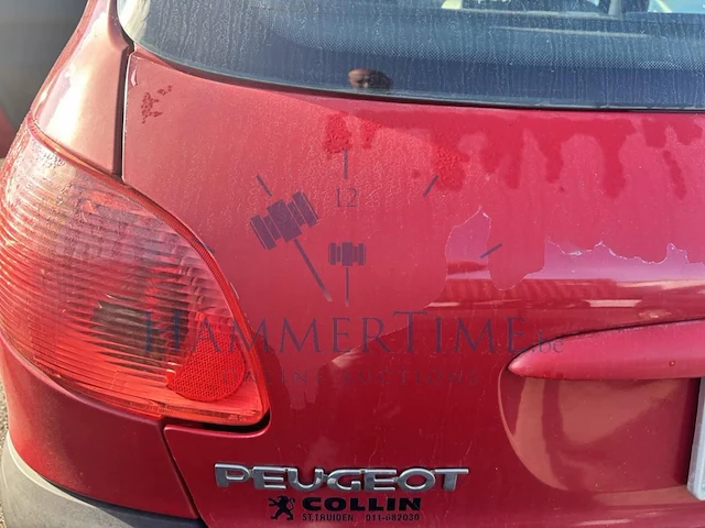 Peugeot 206 sw phase ii 1.6i 16v quiksilver, 2004 - afbeelding 30 van  41