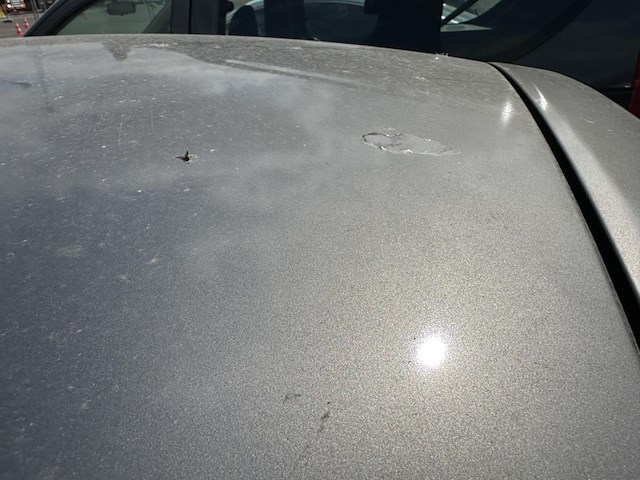 Peugeot 206+,2010 - afbeelding 21 van  30