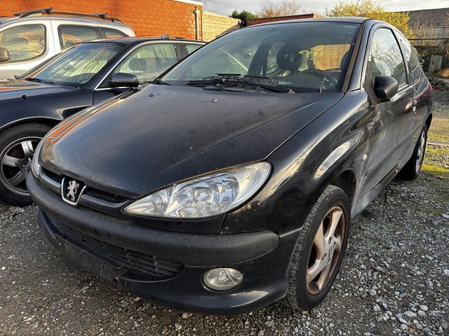 Peugeot 206 - afbeelding 1 van  9