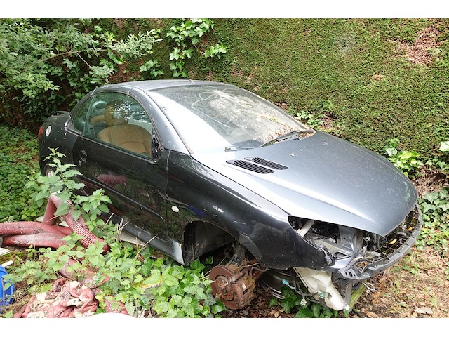 Peugeot 206cc cabrio - afbeelding 1 van  5