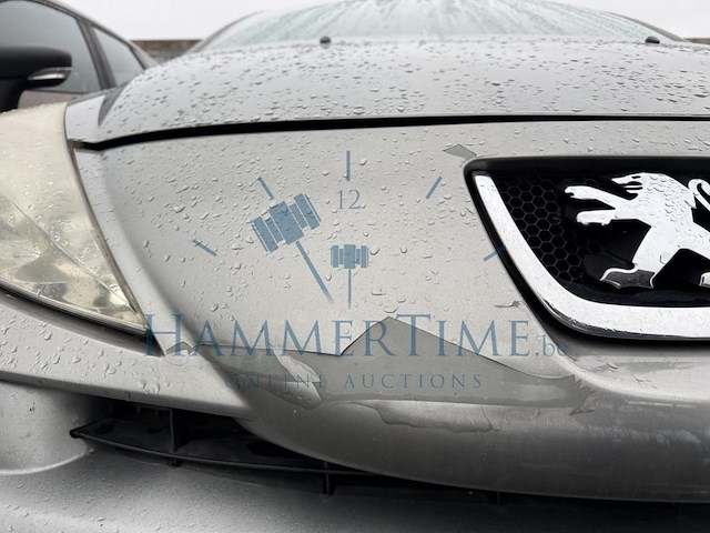 Peugeot 207 cc 1.6i 16v key west, 2009 - afbeelding 25 van  37